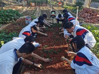 三明将乐：跨学科教学成果入选国家级教材