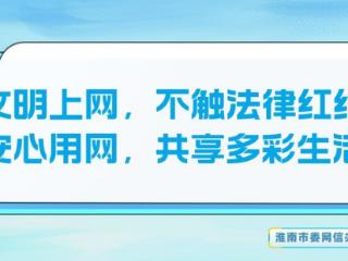 省级名单！淮南四项产品入选