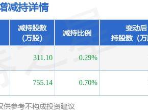 5月13日朗新集团发布公告，股东减持1066.24万股