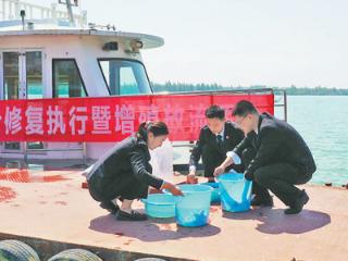司法力量守护黄河