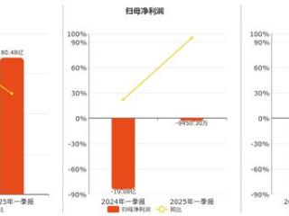 百济神州(688235.SH)：2025年一季报净利润为-9450.30万元