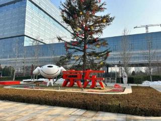 京东一季度收入3011亿元，知情人：刘强东亲自坐镇一线，每周至少讲4天课