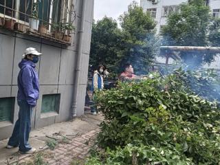 济阳街道运河社区开展“修乱枝 清杂草”环境整治活动