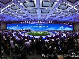 2025中国品牌价值评价信息发布 山东123家品牌上榜