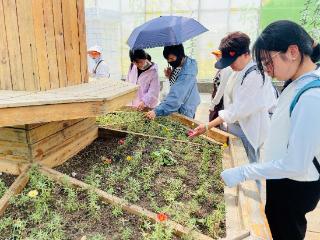 “乐在沙洲”农耕记忆话传统 “学在沙洲”手机培训社区行