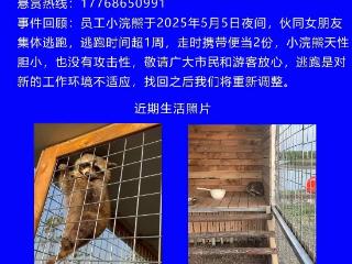 江苏镇江一萌宠乐园2只小浣熊出逃超一周 园方：重金悬赏