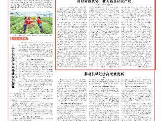 用好资源优势 壮大强县富民产业
