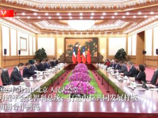 独家视频丨习近平会见智利总统：打造中拉共同发展样板 南南合作典范