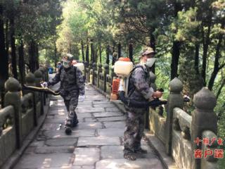 武当山景区护林队守护武当生态绿