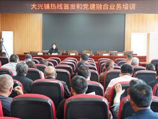 临沭县大兴镇组织开展热线首发和党建融合业务培训