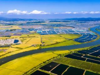 广东台山市大隆洞河入选2025年全国幸福河湖建设名单