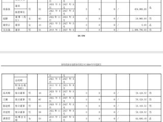 清溢光电2024年净利1.72亿增长28%：董秘任新航薪酬88万2024年9月上任