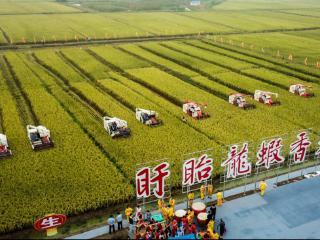 盱眙小龙虾：点燃全域旅游，走向全球餐桌
