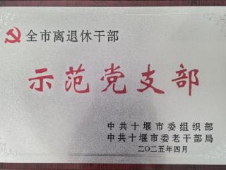 武当山供销社老年党支部荣获市级“六好党支部”称号
