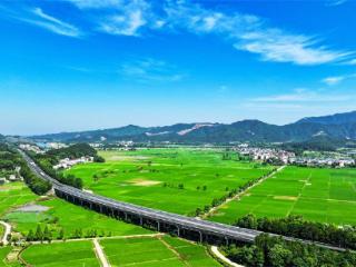 江西吉水：初夏乡村美如画