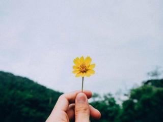 一个男人，彻底动情时，会变得很冲动