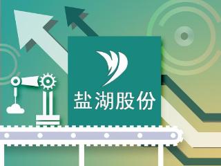 “中国神湖”加快放大资源规模！3亿美元换海外年产380万吨钾盐项目