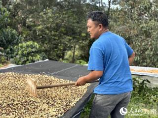 六大产业技能提升培训打造云岭就业“新引擎”