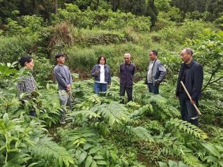 仁怀：农技专家深入田间地头“把脉开方”​