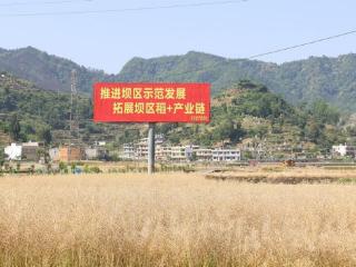 仁怀茅坝镇：千亩油菜迎丰收 农机助力粒归仓