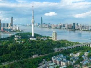 yeah生活武汉篇丨“七了冒”