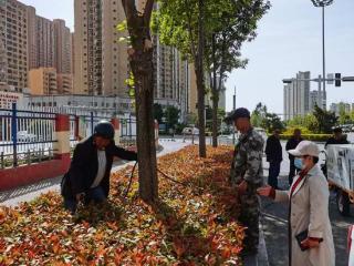 菏泽市城管局：精准施策 开展绿化植物病虫害防治工作
