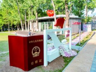 宪法主题结婚登记点亮相