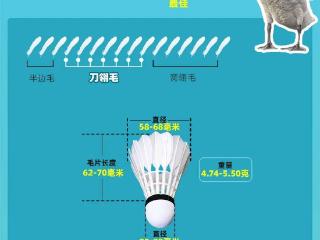 羽毛球凭什么卖到300元？1只鹅造不出1个球