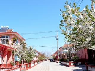 压实责任 聚焦重点 群众参与——平度市凤台街道扮靓乡村“新颜值”