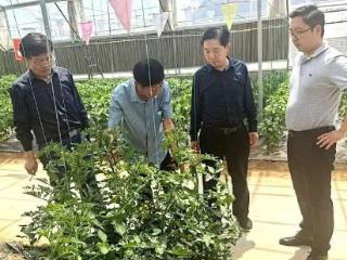 喜报！济南市获批省级专家服务基层活动和省级专家服务基地