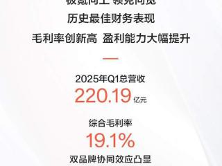 极氪科技2025年一季度：营收220亿，综合毛利率19.1%创历史最高
