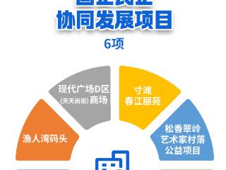 一图看2025江北区民营经济高质量发展机会清单