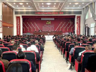 湖南南县青树嘴镇：270余名党员集中听课 强化纪律意识