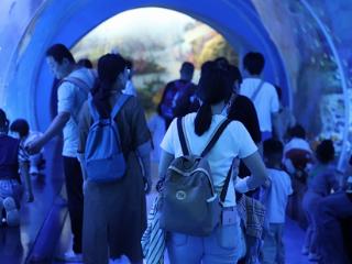 临沂沂河新区：300余名残疾儿童首次“听见”海洋故事
