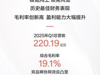 极氪科技发布2025年一季度财报：营收220亿元，综合毛利率19.1%创历史最高