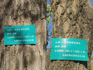 “铁生的朋友余华”又续养了，感动我们的到底是啥？| 睡前聊一会儿