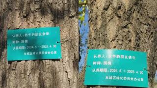 “铁生的朋友余华”又续养了，感动我们的到底是啥？| 睡前聊一会儿(图1)