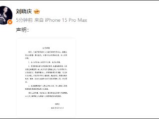 刘晓庆回应被举报涉嫌偷税漏税