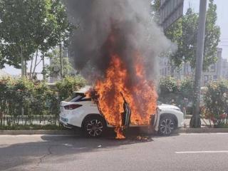 无人驾驶车“第一燃” 小马智行、丰田中国、行政机构三方回应