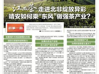 江西茶走进北非绽放异彩 靖安如何乘“东风”做强茶产业？