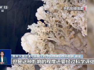 女子赤脚入溶洞“晶花池”引争议 岩溶洞穴该如何保护？