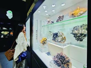 听地球“石”光故事 赴神秘“寻宝之旅”