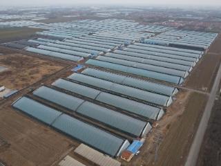 农发行山东省分行：赋能建设更好潍坊