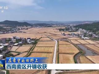 【在希望的田野上】西南麦区开镰收获