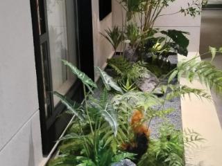 夏日来临 绿色家居营造清凉意境