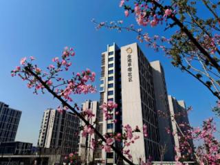 宝山南大智慧城2500余套精装保租房将入市