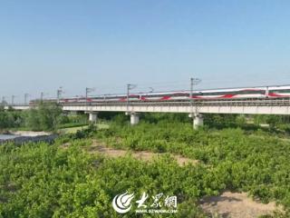 岚山区高兴镇小芳沟村：桑葚采摘正当时