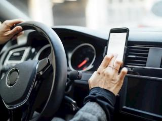 女乘客坐顺风车时口袋里的宠物蛇跑了 司机吓到崩溃报警