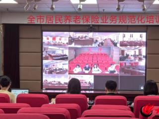 菏泽市人社局组织召开全市居民养老保险业务规范化视频培训会议