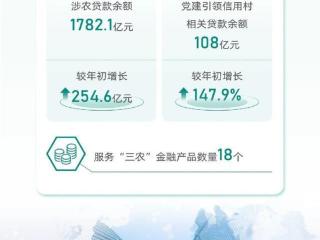 一图读懂|徽商银行2024社会责任（ESG）报告